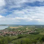 Palava *