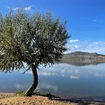 Palava