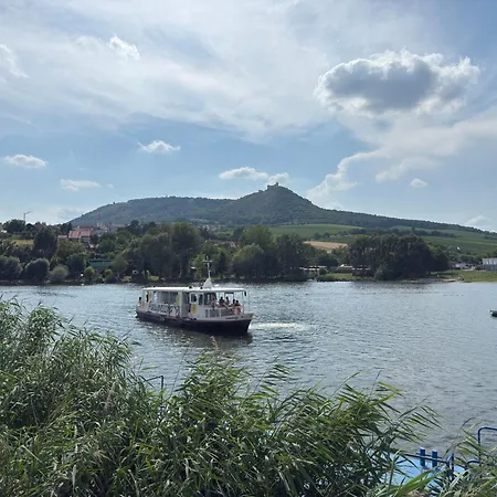 Palava *
