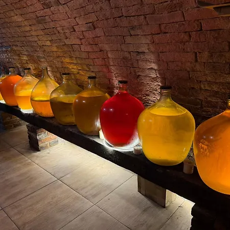 Сasa de vacaciones Pálava Pavlov